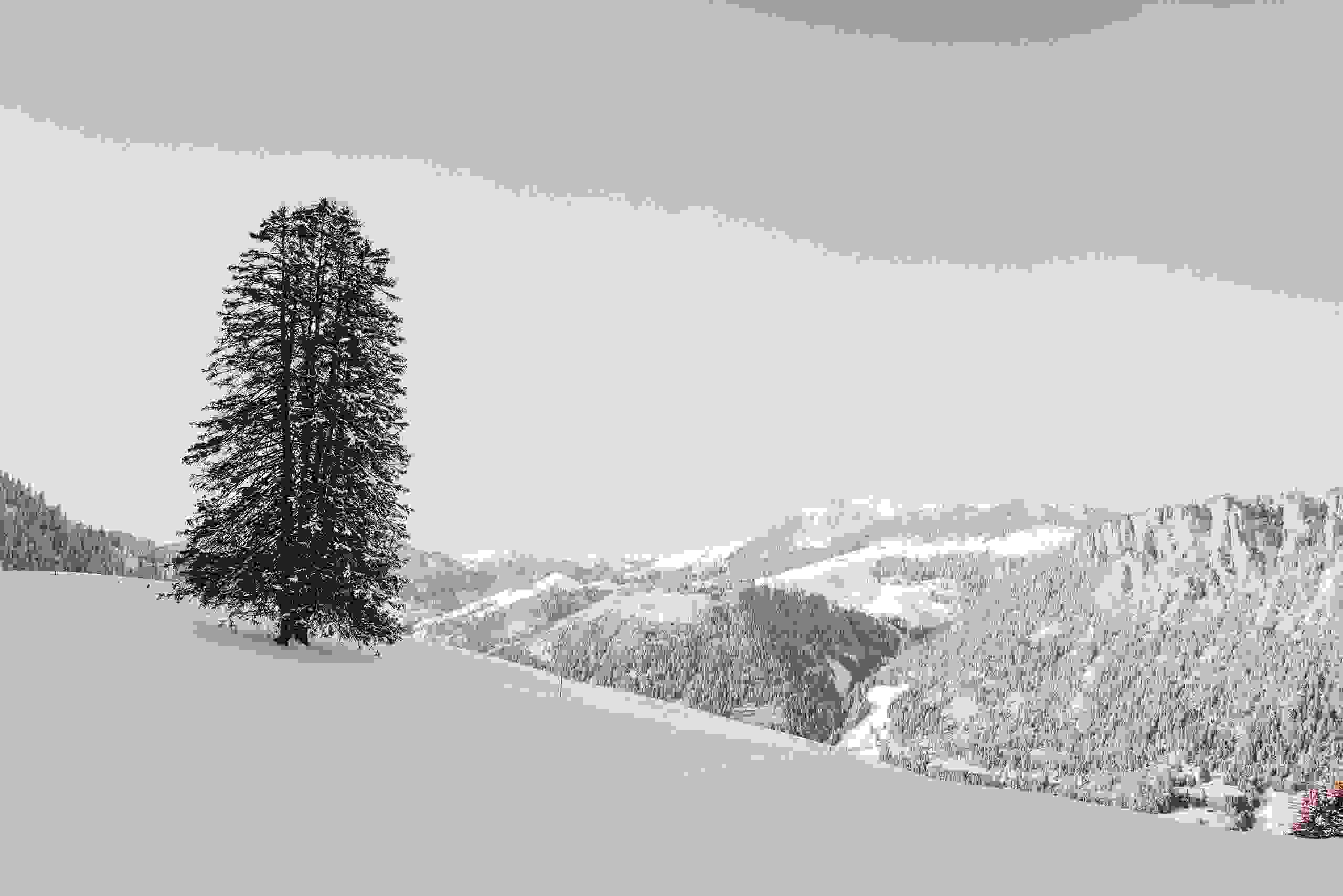 Sentier découverte hivernal Sentier découverte hivernal