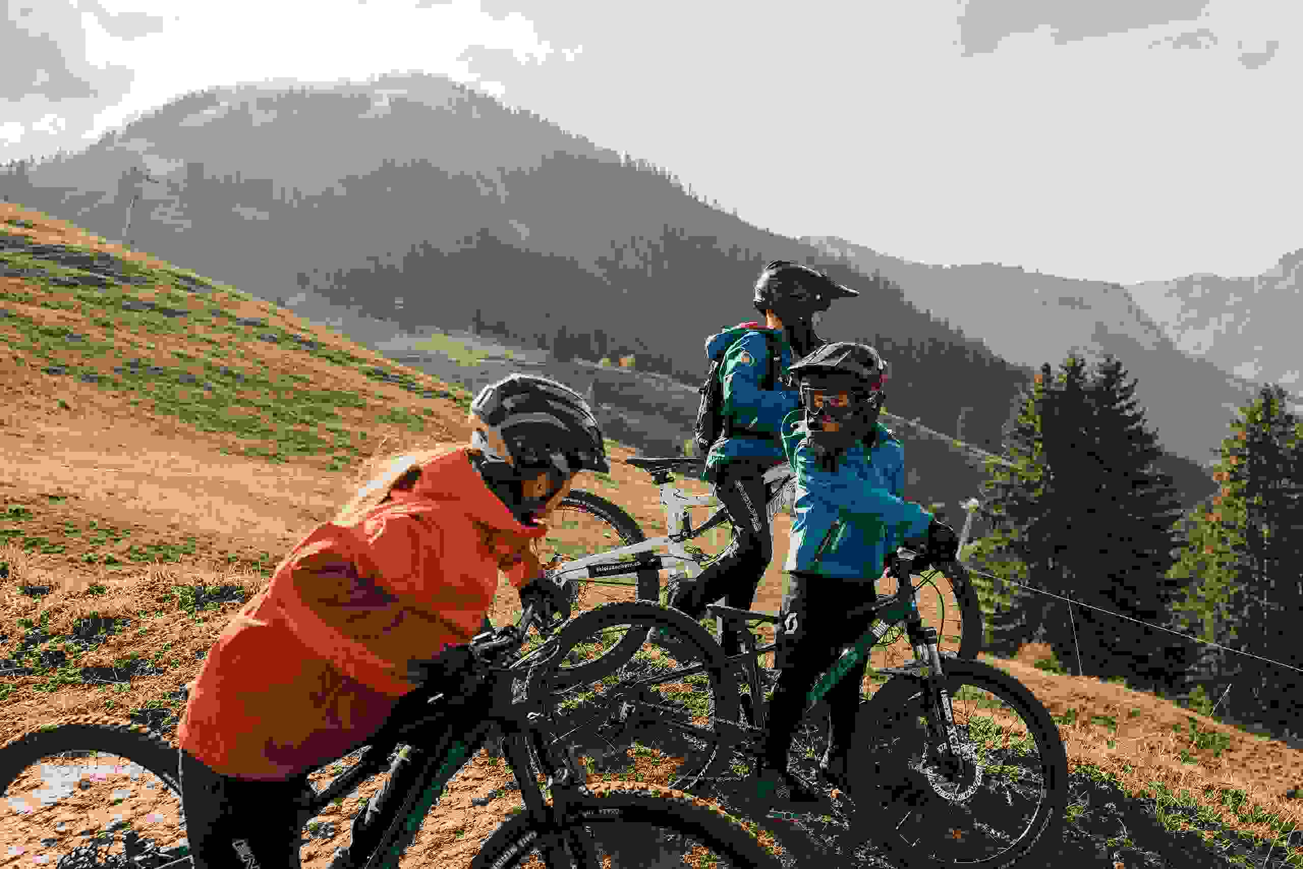 Bike & Downhill Bike & Downhill
