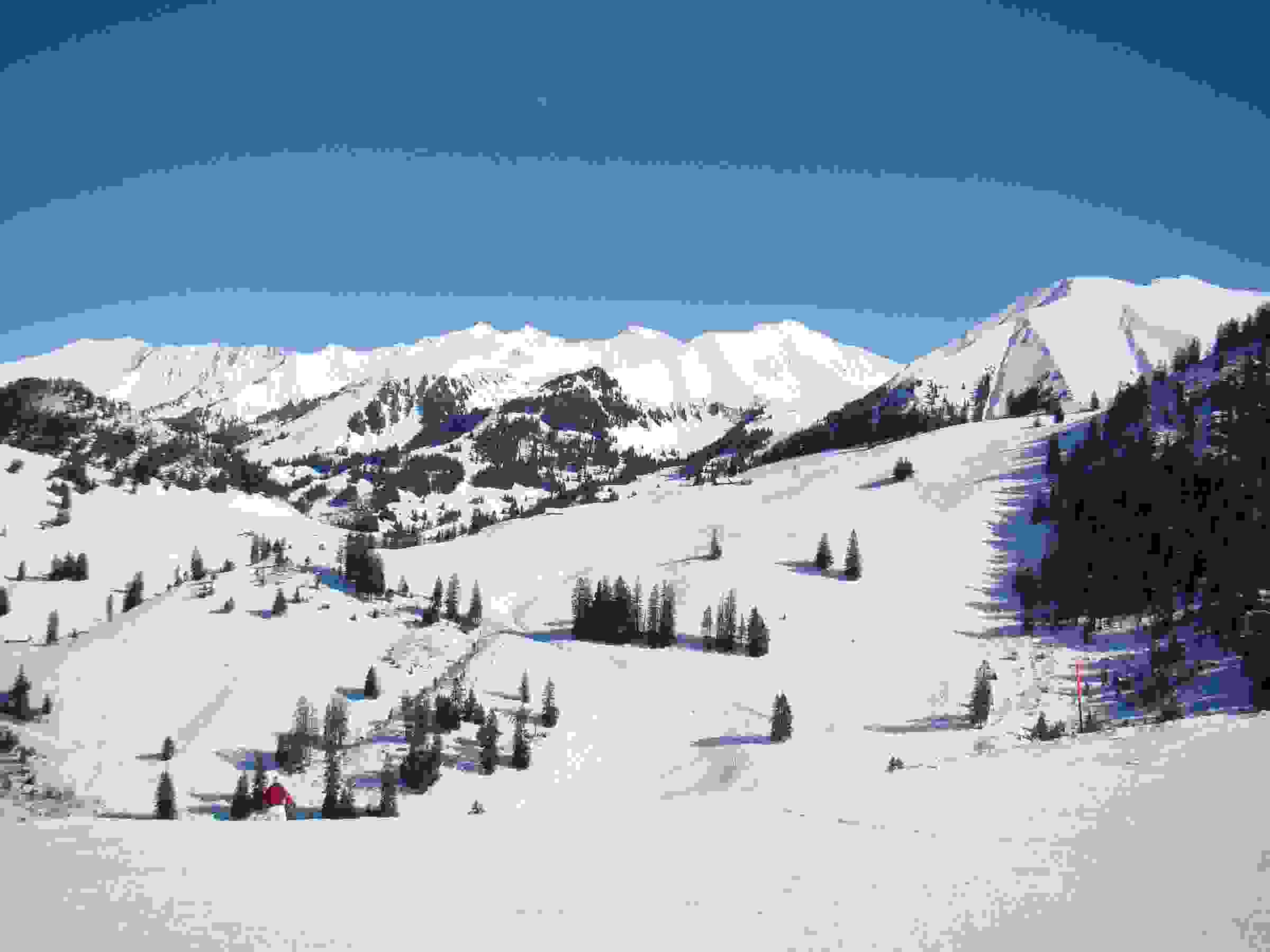 Blick vom Homad über das Skigebiet Wiriehorn und das Diemtigtal im Winter