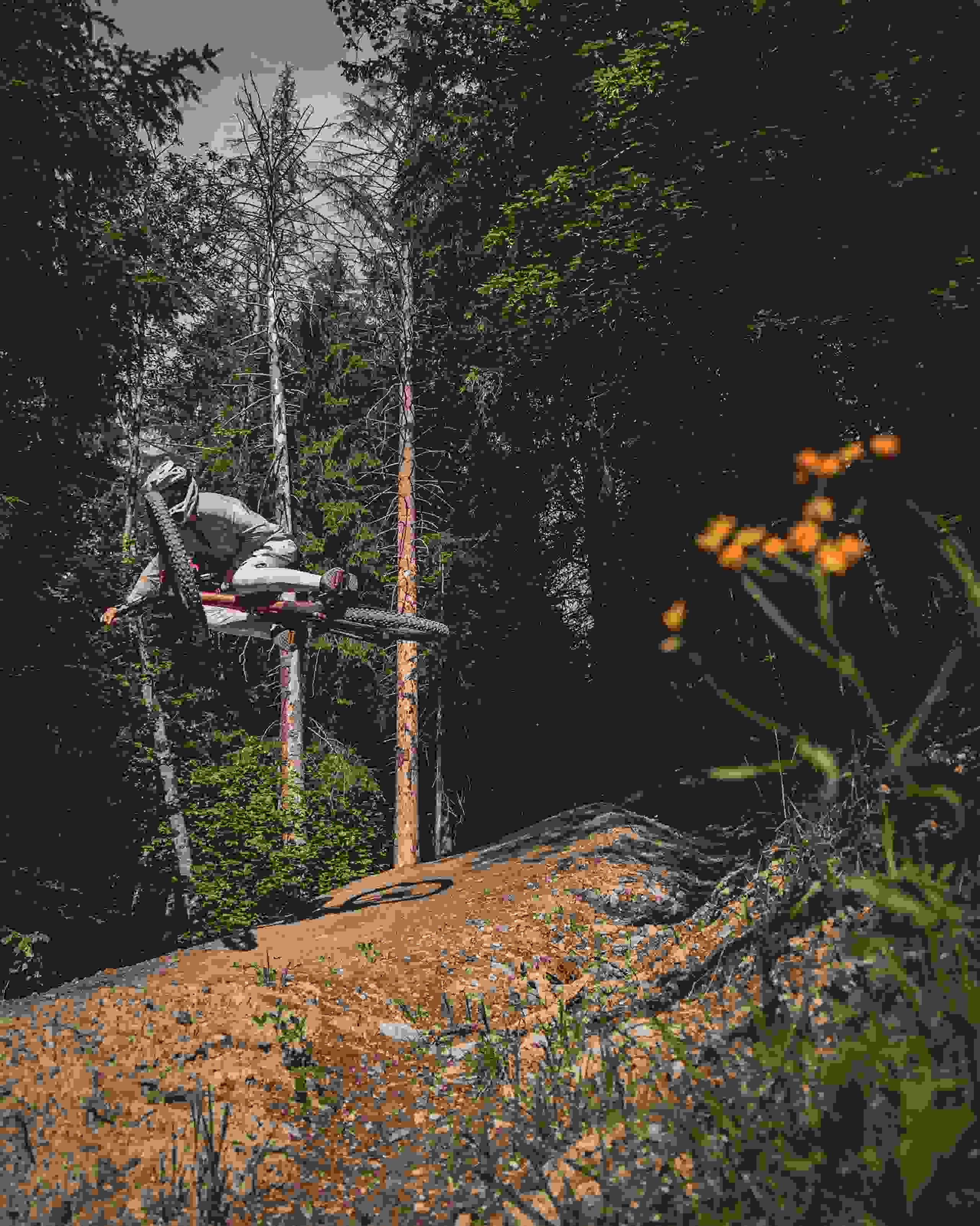 Bikepark Bikepark